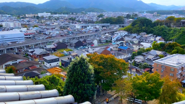 京都市左京区北白川上池田町のメイン画像