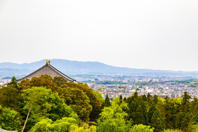 大和高田市大中東町のメイン画像