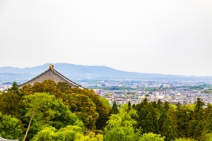 大和高田市大中東町の土地と快適タウン情報