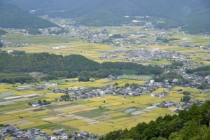 京都市伏見区醍醐鍵尾町の土地情報と生活情報
