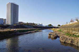 四條畷市蔀屋本町は住みやすい土地なのか検証