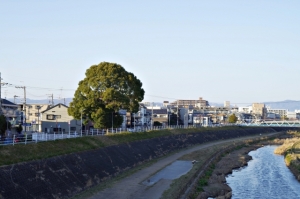 枚方市宇山町の土地最新販売事例とお役立ちタウン情報