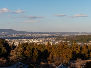 奈良市大森町は暮らしやすい土地なのか検証