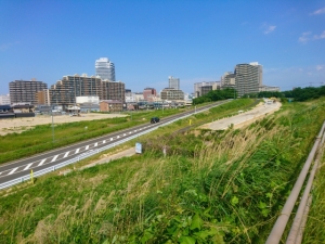 近江八幡市若葉町四丁目の土地と生活おすすめ情報